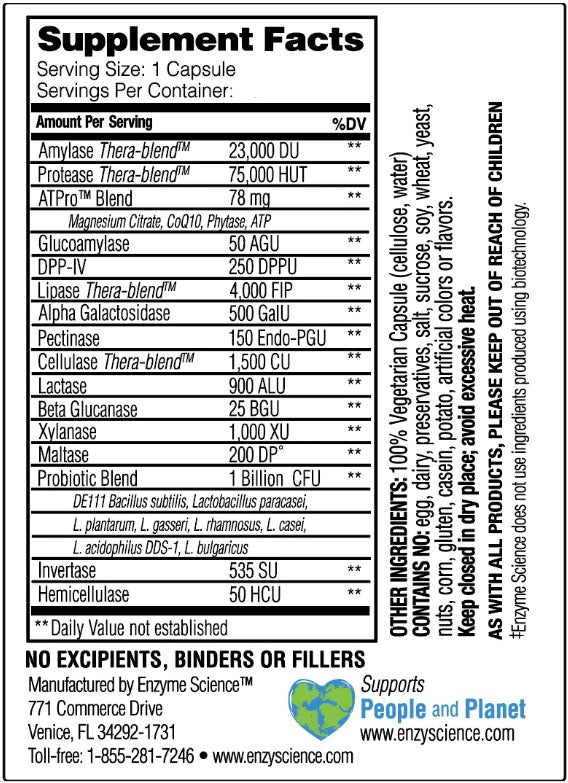 Critical Digestion Enzymes